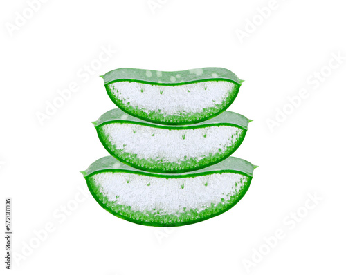 aloe vera isolated on the  transparent png