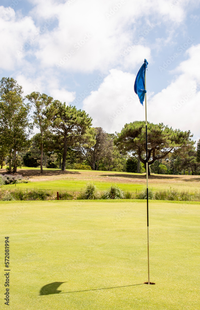Obraz premium Campo de deporte de golf con un verde e impecable césped en verano