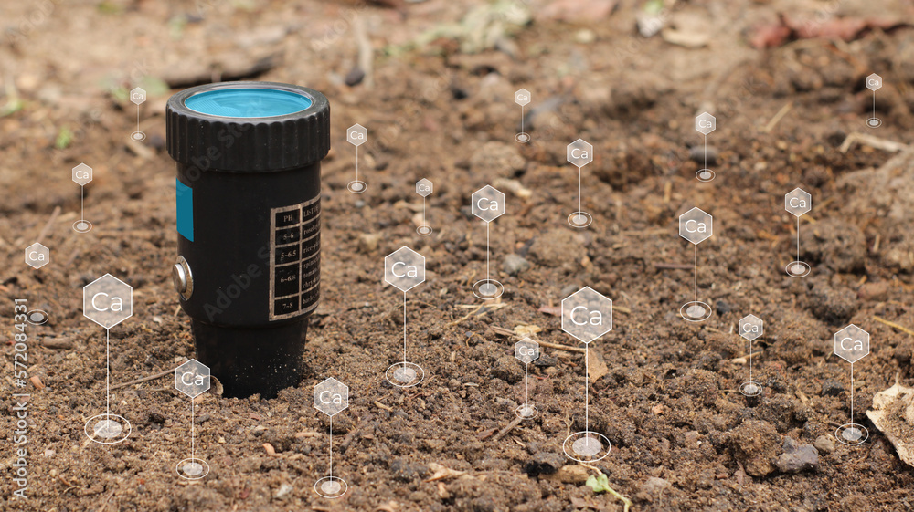 illustration of ph meter detecting soil acidity. soil test kit