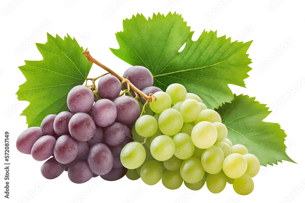 Delicious grapes cut out. Based on Generative AI Stock Illustration