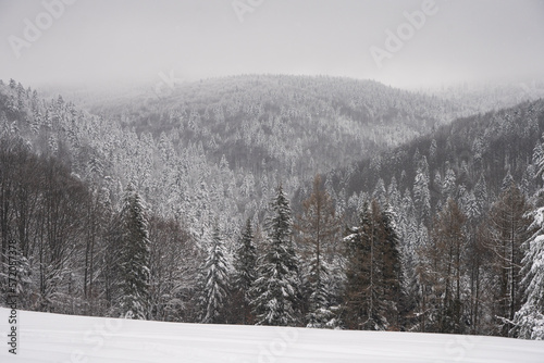Fototapeta Naklejka Na Ścianę i Meble -  Zima w górach, Zima, Zimowy las, Góry zimą, Polskie Góry 