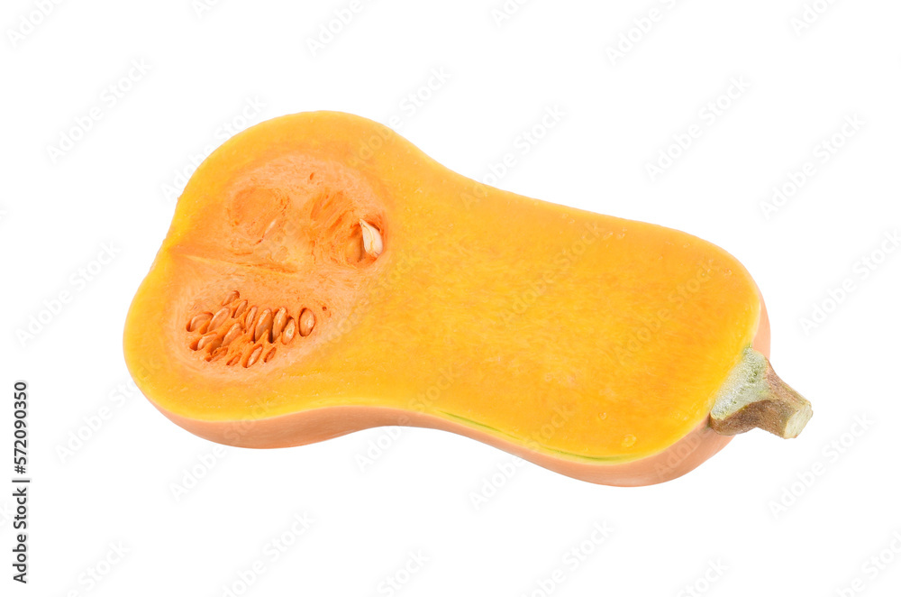 Butter nut squash transparent png