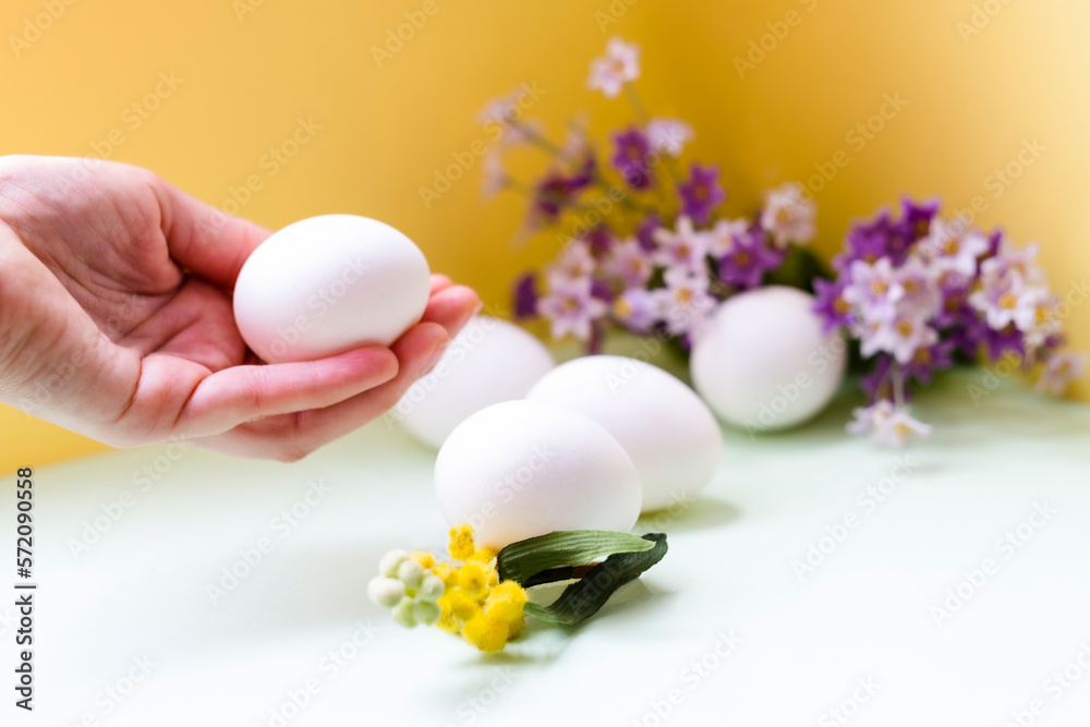 a female hand holds a chicken egg on a yellow background, eggs and flowers lie nearby a female hand holds a chicken egg on a yellow background, eggs and flowers lie nearby