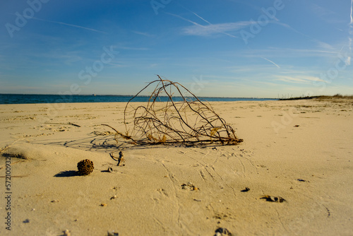 sand beach in the morning
