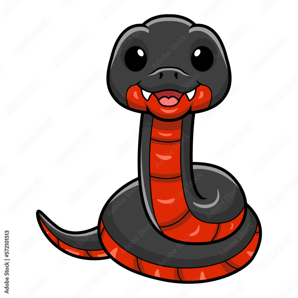 Fototapeta premium Cute red bellied black snake cartoon