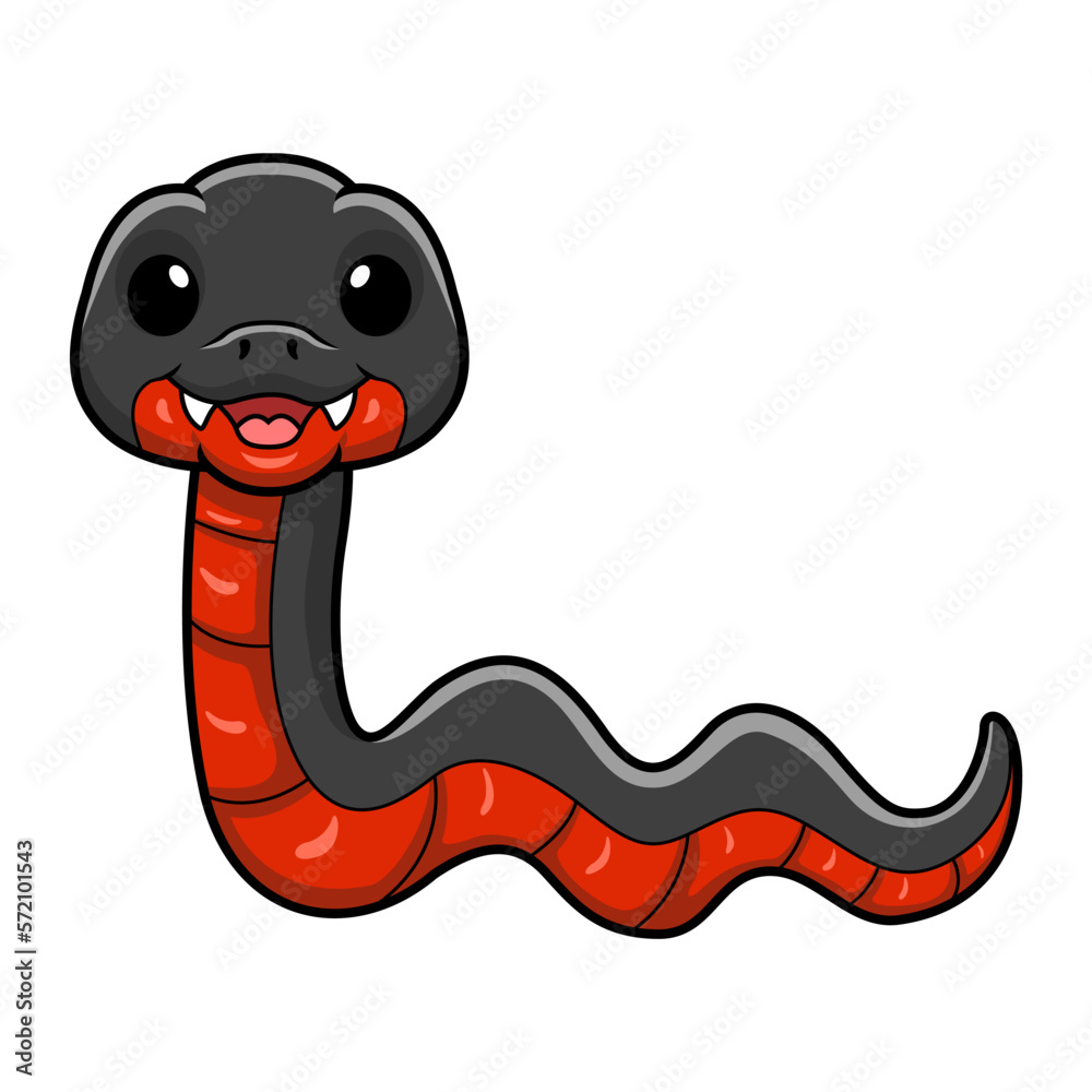 Fototapeta premium Cute red bellied black snake cartoon