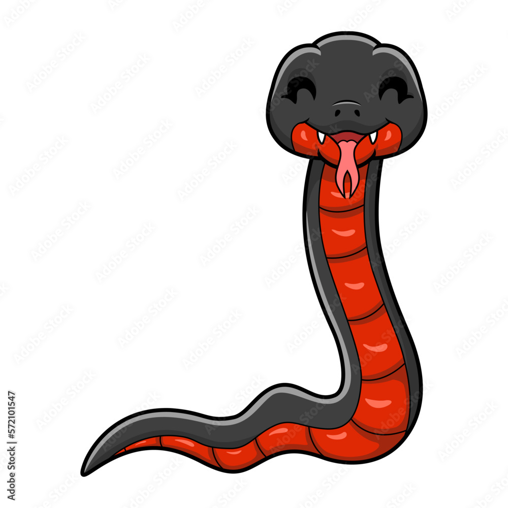 Fototapeta premium Cute red bellied black snake cartoon