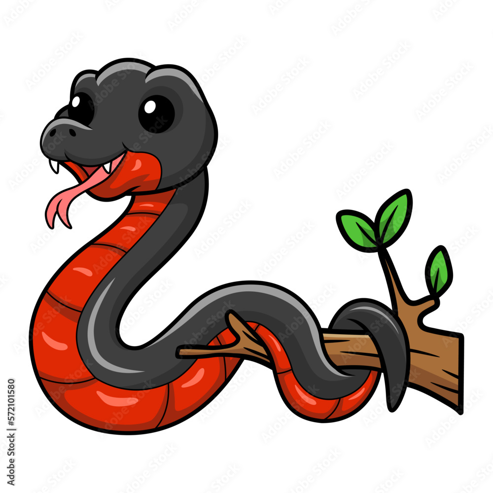 Fototapeta premium Cute red bellied black snake cartoon on tree branch
