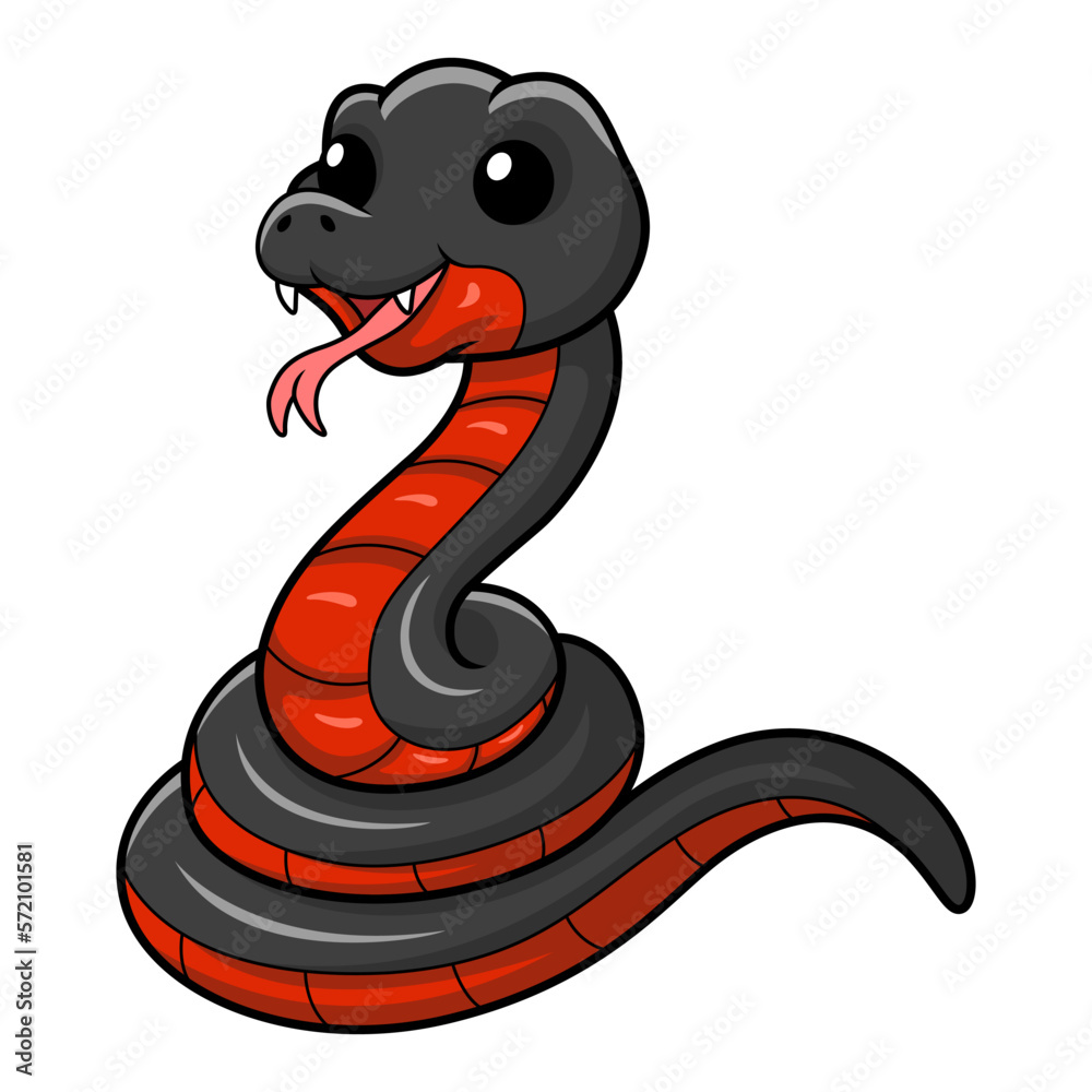 Fototapeta premium Cute red bellied black snake cartoon