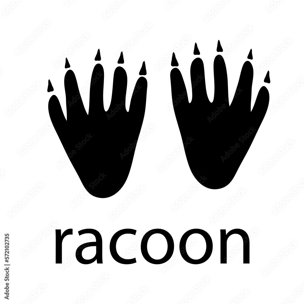 Fototapeta premium Racoon Paw Logo design vector illustration design template 