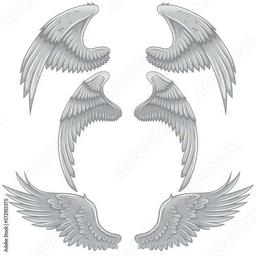 Angel wings vector design