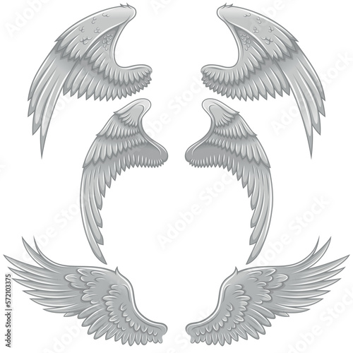 Angel wings vector design