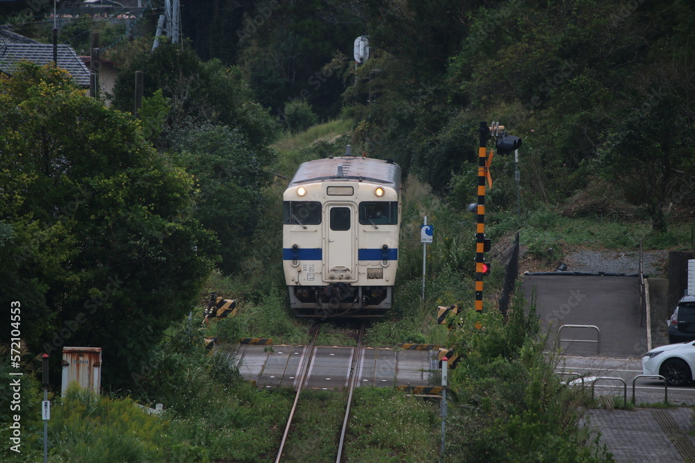 Naklejka premium 九州・宮崎の鉄道風景