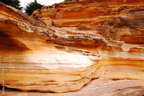 Painted cliff, Maria Island, Tasmania