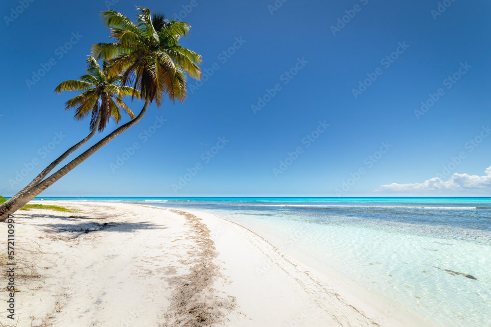 Tropical beach in caribbean sea, idyllic Saona island, Dominican Republic