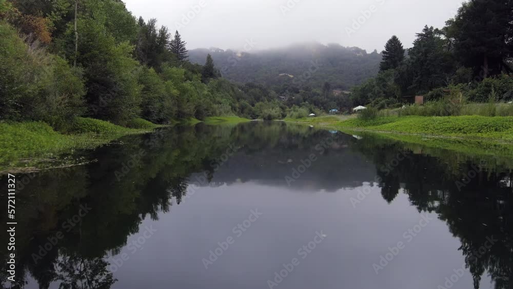 Drone flying low over calm river stream in a misty temperate pine forest Drone flying low over calm river stream in a misty temperate pine forest