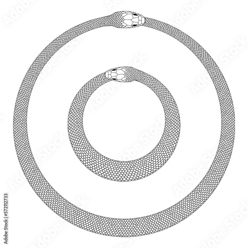 Line drawn illustration of two seperate Ouroboros.
