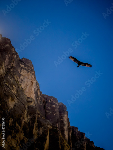 silhouette of a person on a rock