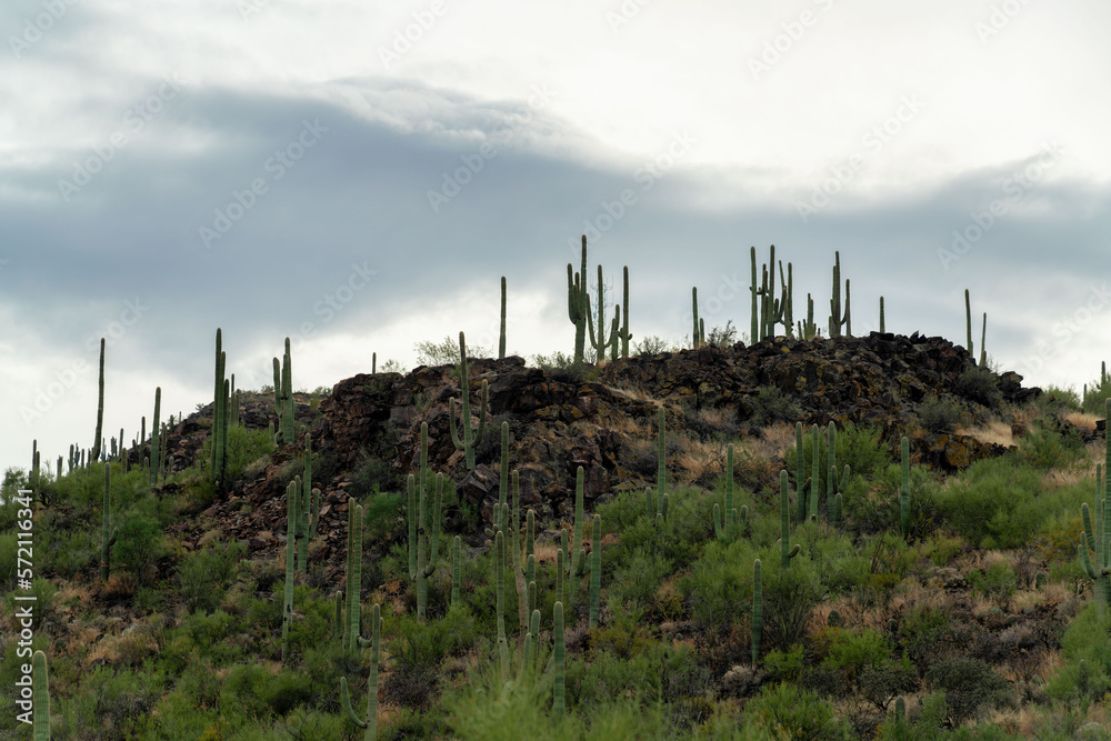 Cactus hills on top of rock formation with gray cloudy background with small hiker and jogger path to peak