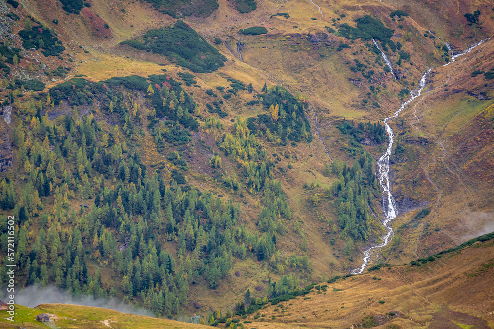 Hohe Tauern pine woodland and waterfall from above Grossglockner road at dawn, Austria