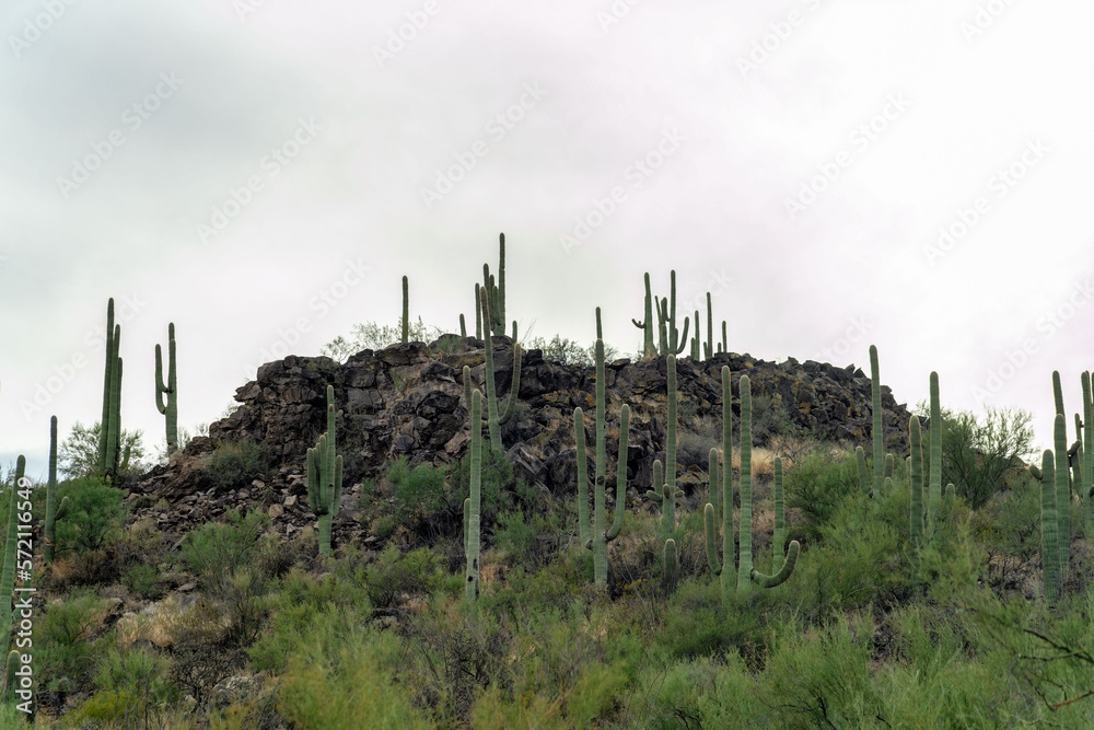Rock formation on top of mountain with cactus hills on ridge with shrubs and trees and natural vegetation cliffs