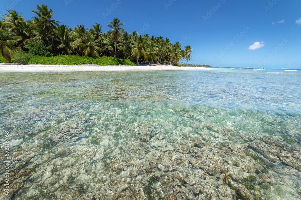 Tropical beach in caribbean sea, idyllic Saona island, Dominican Republic