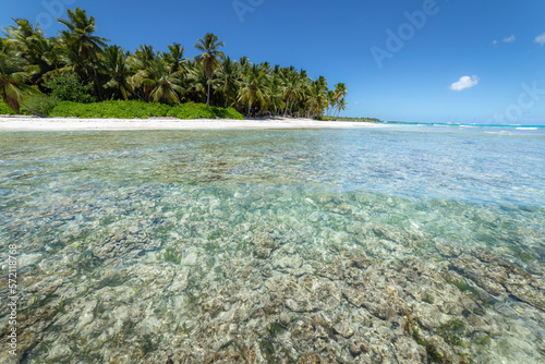 Obraz na płótnie Tropical beach in caribbean sea, idyllic Saona island, Dominican Republic w salonie