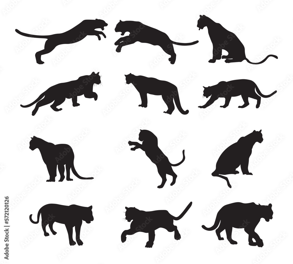 Set puma silhouette vector illustration. - obrazy, fototapety, plakaty 
