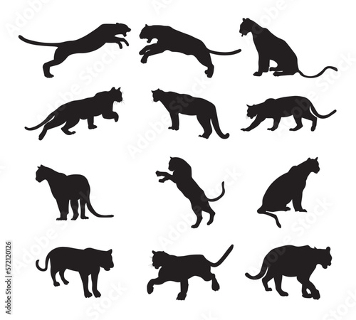 Set puma silhouette vector illustration.
