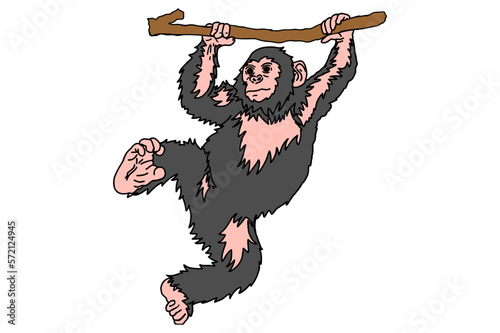 the chimpanzee is hanging on the wood
