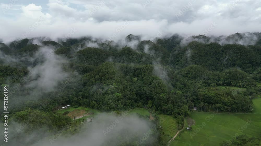 View from a drone, morning misty forest, haze of fog over the forest. Fog at dawn. Aerial view of the green, malachite tropical evergreen forest, covered with fog. Greenery growing on high hills. View from a drone, morning misty forest, haze of fog over the forest. Fog at dawn. Aerial view of the green, malachite tropical evergreen forest, covered with fog. Greenery growing on high hills.