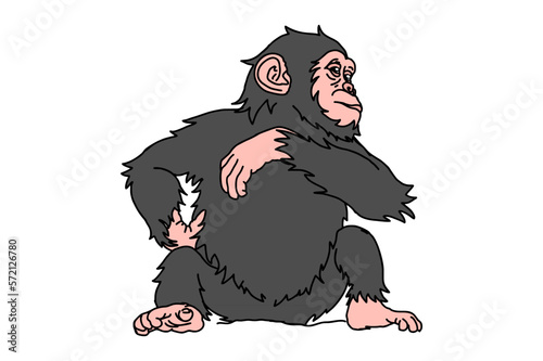 chimpanzee looking sideways
