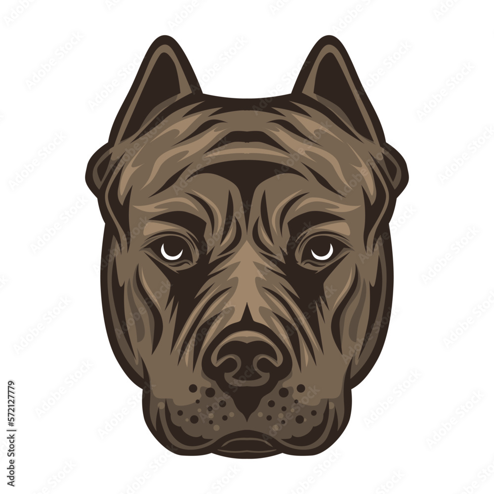 Bulldog head facing vector illustration
