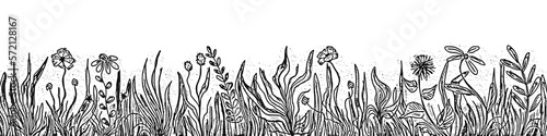 Hand drawn wild grass and flowers, black and white vector illustration