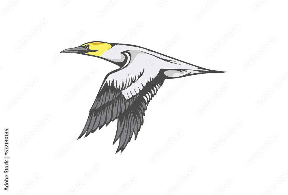 Fototapeta premium Seagull vector