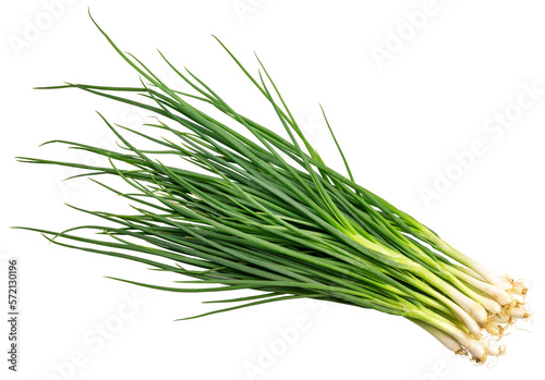 Green spring onion isolated on white background, Fresh Green onion on White Background PNG File.