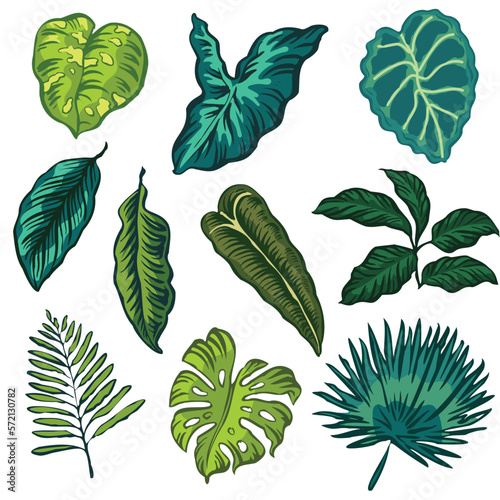 Tropical Leaf Vector Design Art