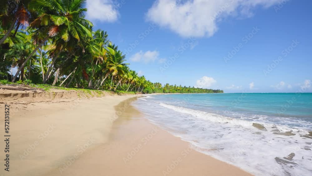 Sandy tropical beach and sea with coconut trees on a paradise island for travel and vacation. Picturesque view of the sea coast in the early spring morning. Travel and relaxation at sea. Cruise. Sandy tropical beach and sea with coconut trees on a paradise island for travel and vacation. Picturesque view of the sea coast in the early spring morning. Travel and relaxation at sea. Cruise.
