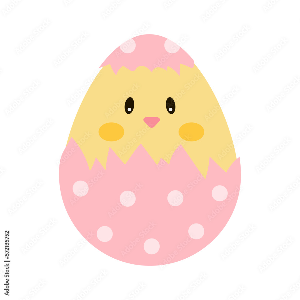 Easter chick in shell on white background Easter chick in shell on white background