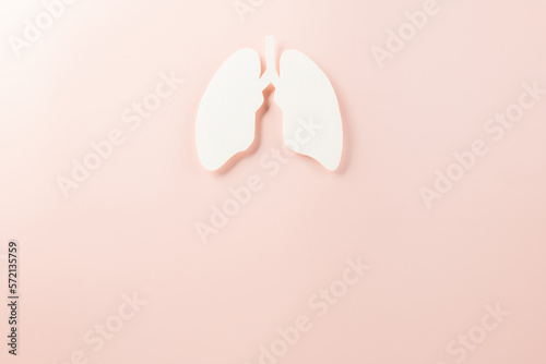 World tuberculosis day. Top view Lungs paper decorative symbol on pastel pink background, copy space, concept of world TB day, no tobacco, Medical and healthcare, lung cancer awareness, 24 March