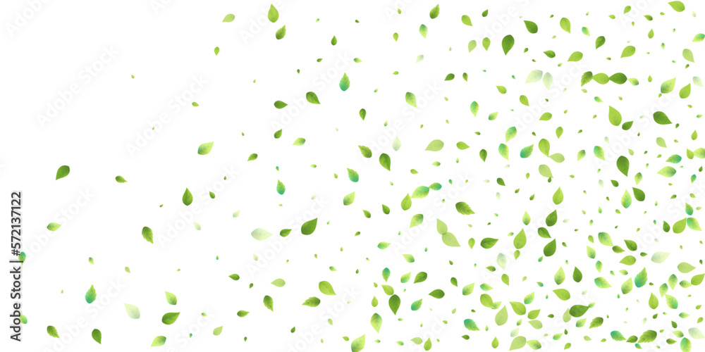 Leaves Green Falling Flying Foliage Leaf Tea Mint Leaves Green Falling Flying Foliage Leaf Tea Mint
