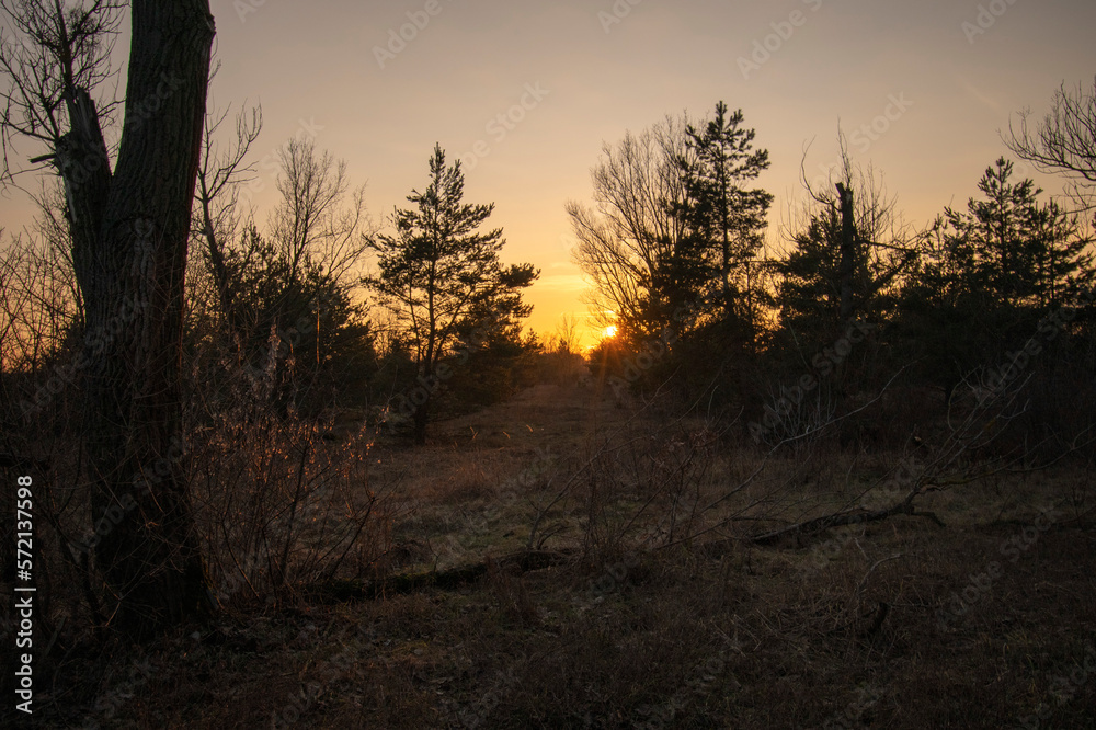 niebo, krajobraz, pola, sundown, gras, charakter, niebo, krajobraz, pola, sundown, gras, charakter,
