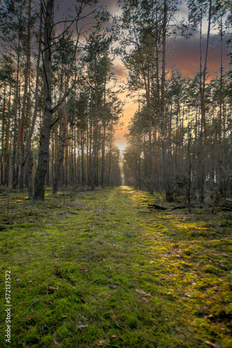 Fototapeta Naklejka Na Ścianę i Meble -  sundown, niebo, słońce, krajobraz, wschody