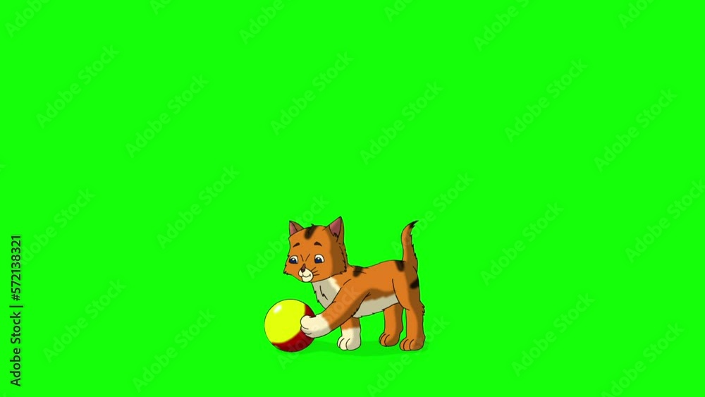 Playful red tabby kitten chroma key HD Playful red tabby kitten chroma key HD