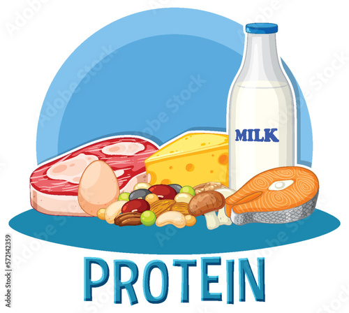 Variety of protein foods with text