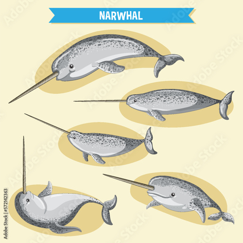 Narwhale cartoon character in different poses