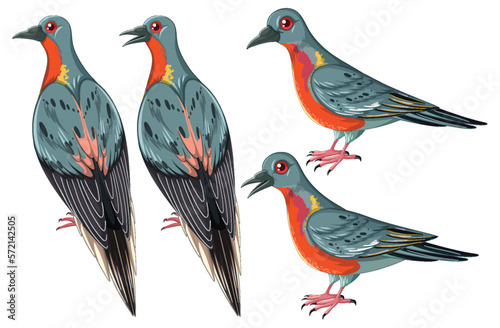 Passenger pigeon extinct animal collection