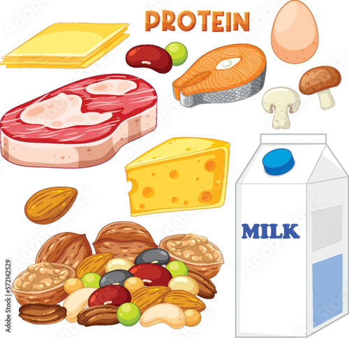 Variety of protein foods with text