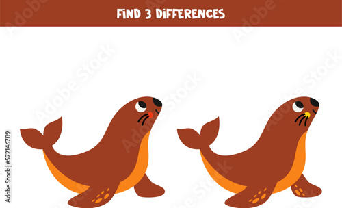 Find 3 differences between two cute sea lions.
