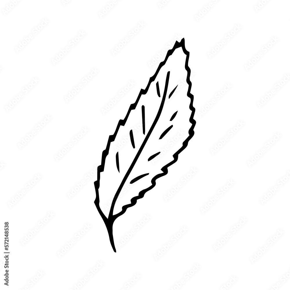 leaf hand drawn in doodle style. simple minimalistic line art. monochrome icon. leaf hand drawn in doodle style. simple minimalistic line art. monochrome icon.